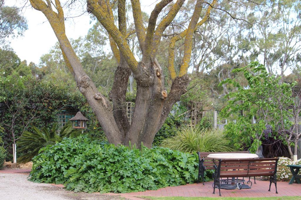 Bed & Breakfast Barossa House 4*