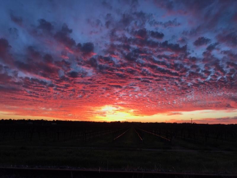 Barossa House Bed & Breakfast Tanunda
