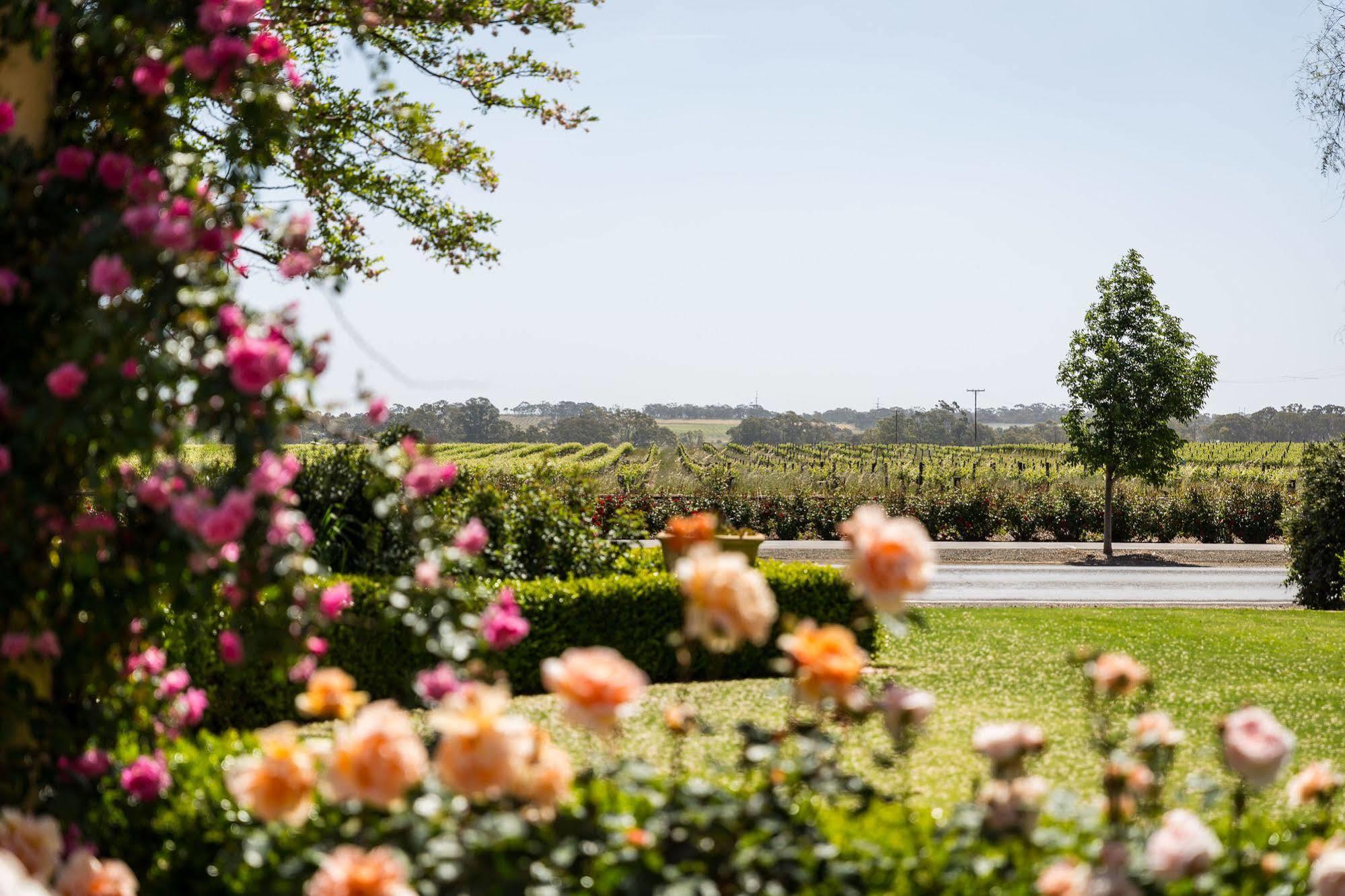 Bed & Breakfast Barossa House