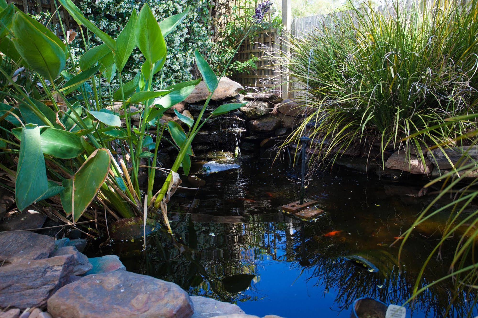 Bed & Breakfast Barossa House 4*
